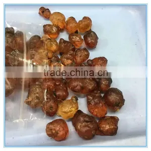 Peach Gum Used As Emulsifier and Thickener for Food thumbnail-6