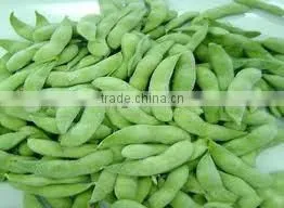 Best Selling Vietnam High Quality IQF Frozen Soybean thumbnail-1