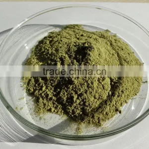 Organic Moringa Leaf Powder Wholesale ( Skype: Liu.diana 79, Whatsapp: +861502902563) thumbnail-6