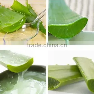Aloe Polysaccharide Manufacture With ISO, GMP, HACCP, KOSHER, HALAL Certificated thumbnail-3