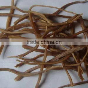 Cordyceps Sinensis/100% Pure Natural Herbal Cordyceps Sinensis thumbnail-2