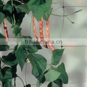 Plant Support Net/Vegetable Climbing Net/Cucumber Climbing Net/ Bean Netting/Flower Net thumbnail-1