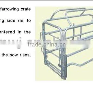 Farrowing Crate thumbnail-1