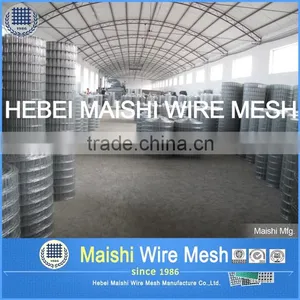 Welded Wire Mesh/Galvanized Welded Wire Mesh thumbnail-5