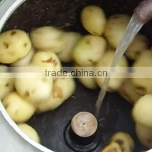 CE 2015 Hot Sale TP500 Automatic Potato Peeler Machine thumbnail-4