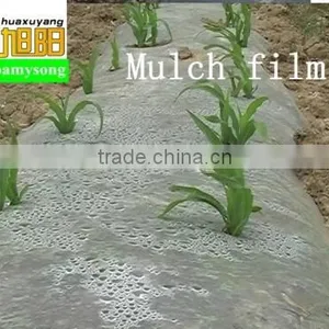 LDPE uv Plastic Transparent pe Film thumbnail-1