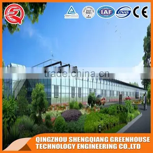 Factory Outlet Large Multi-span Glass Agricultural-commercial Greenhouses thumbnail-6