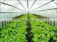 Agricultural Plastic Film thumbnail-1