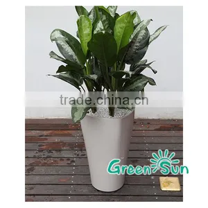 Plastic Indoor Flower Gardening Pots With Water Level Indicator thumbnail-3