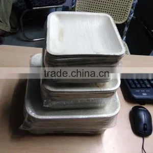 Bio Degradable Plates thumbnail-2