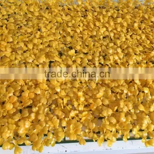 2017 Hot Sale Artificial Colored Turf for Tennis Court for Decoration thumbnail-2