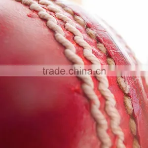 Cricket Ball thumbnail-1