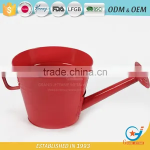 6 Inch Planters for Garden Plants Wide Shallow Plant Pots thumbnail-1