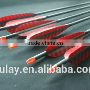 Carbon Arrows Spine 400 With Hunting 100gr Broadheads thumbnail-3