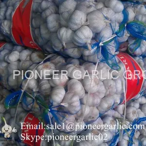 5.5cm And Up Red Garlic Loose Packing In 20kg Mesh Bag thumbnail-4
