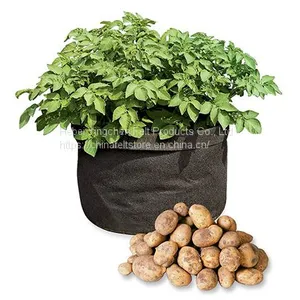 Felt Grow Bag thumbnail-5