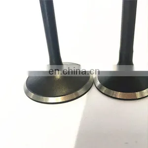 Autocar Engine Valves for Fiat 800 800t Coupe Sports thumbnail-7