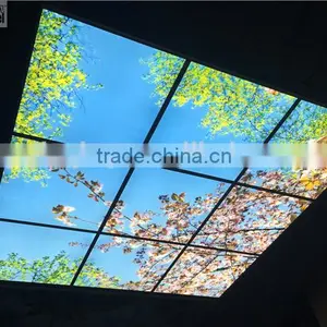 2015 Led Sky Ceiling Panel Blossom Image thumbnail-4