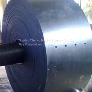 Bucket Elevator Conveyor Belt thumbnail-1