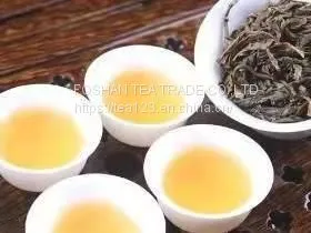Oolong Tea thumbnail-2