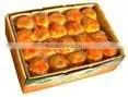 Mandarin Oranges/Lokam thumbnail-1