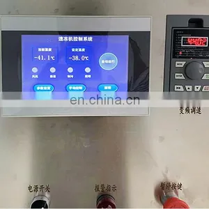 Pasta and Meat Tunnel Freezer, Crayfish Freezing Line, Food Freezing Equipment thumbnail-4