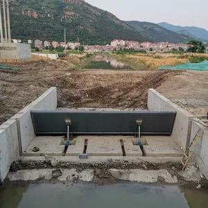 Compact Hydraulic Elevator Dam With 100mm Stroke Size for Space-Saving Elevator Installations thumbnail-3