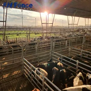 Hot-DIP Galvanized Livestock Corral Fencing System for Farm Handling thumbnail-2