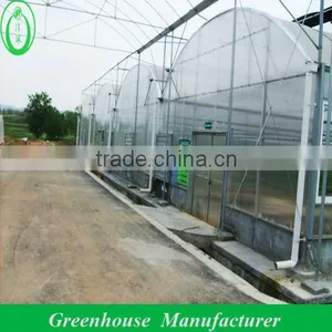 12mm Diy Polycarbonate Greenhouse thumbnail-1