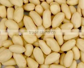 Blanched Peanuts Kernel thumbnail-1