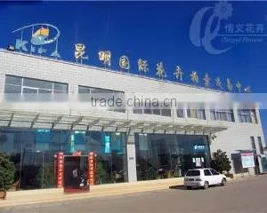 Kunming Qingyi Flower Gardening Co., Ltd. company overview - view 1 thumbnail