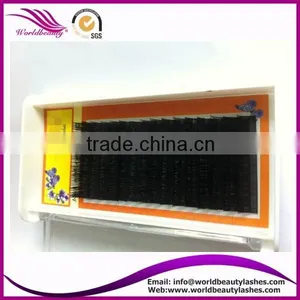 Top Quality Wholesale Price Eyelash Extension thumbnail-3