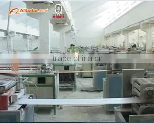 Haining Longteng Plastic Industry Co., Ltd. company overview - view 2 thumbnail