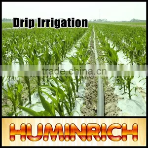 FAQ 12--Application Of Drip Irrigation Technique thumbnail-2