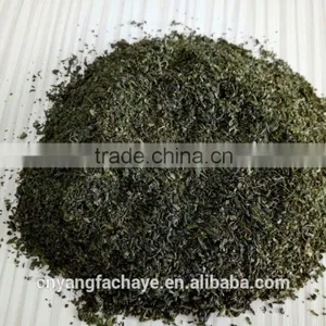 Factory Directly Provide Low Price Broken Green Tea for Tea Bag thumbnail-2