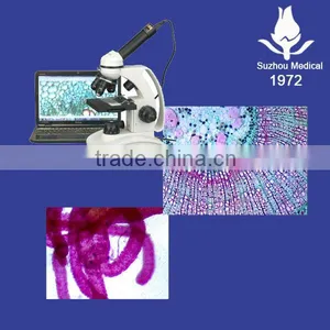 Educational Microscope Slides thumbnail-1