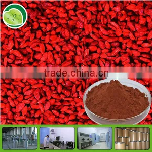 Natural Barbury Wolfberry Fruit Extract thumbnail-1