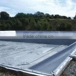 Good Quality Best Price Fish Farm Pond Liner HDPE Geomembrane thumbnail-6