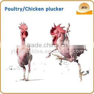Commercial Chicken Plucker Machine for Feather Plucker Poultry Plucker thumbnail-6