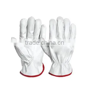 Safety Driving Gloves, Cow Leather, Goat Leather Gloves thumbnail-1
