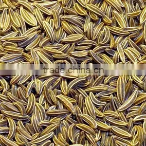 Cumin Seeds & Powder thumbnail-1