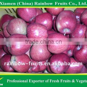 Apple Fruit thumbnail-1
