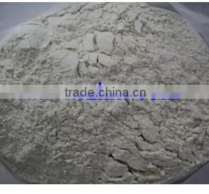 Garlic Powder thumbnail-1