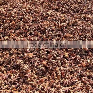 VIETNAMESE SUPPLIER OF BEST QUALITY AUTUMN STAR ANISEED thumbnail-3
