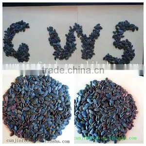 China GWS Pumpkin Seeds thumbnail-2