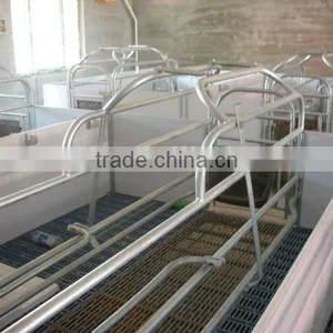 PVC Stall Elevated Farrowing Crate Pig Raising Equipment thumbnail-1