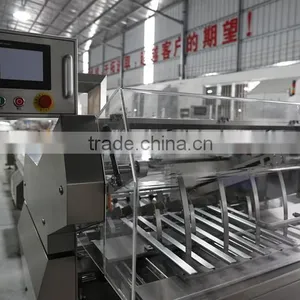 Automatic Counting System For Biscuit On-Edge Packing thumbnail-1
