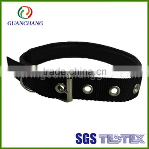 Hot Selling Polyester Dog Training Collar on Market thumbnail-5