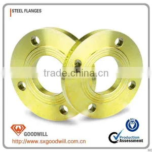 Stainless Steel Plate Type Flat Welding Flange thumbnail-1