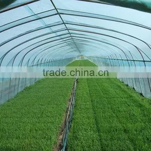 Vegetable Greenhouse Polycarbonate Sheet Fim thumbnail-2
